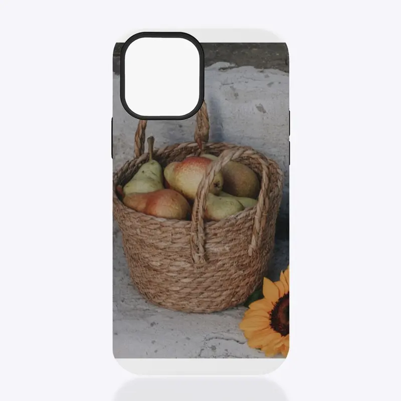 Fall case